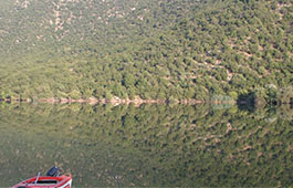 Η ΟΜΟΡΦΙΑ ΤΟΥ ΚΑΘΡΕΦΤΗΣ ΓΟΝΙΜΟΤΗΤΑΣ, ΖΩΗΣ Veria Volta tours