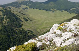 ΒΕΡΜΙΟΝ :ΜΥΡΙΕΣ ΔΙΑΦΟΡΕΤΙΚΕΣ ΟΨΕΙΣ Veria Volta tours