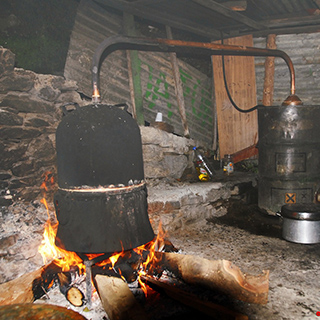 Εκδηλώσεις και Περίπατοι