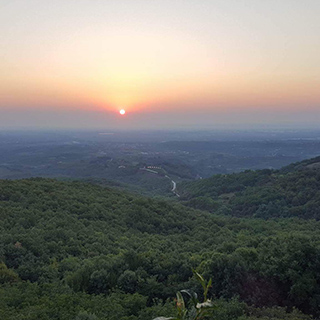 Εκδηλώσεις και Περίπατοι